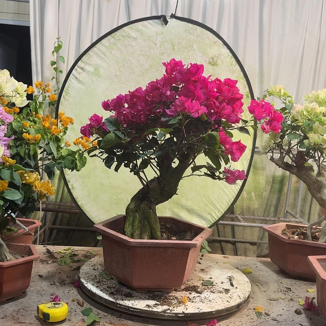 海***融完全开放北京一物一拍