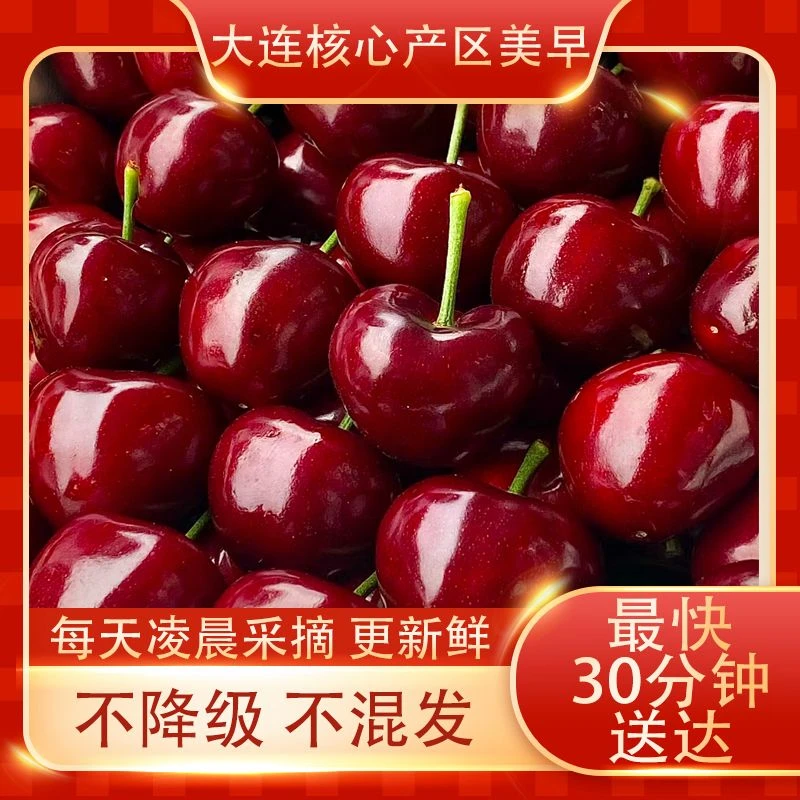 【新融闪送】大连美早樱桃  4J/5J/6J/【精美大包装红色礼盒】2.4斤装【净重1.8斤】 新鲜采摘鲜甜爆汁大连美早