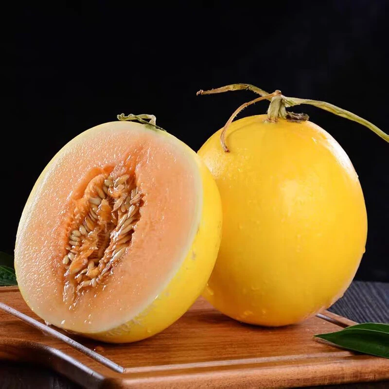 【果王2-4个】正宗甘肃民勤蜜瓜多汁香甜当季新鲜水果