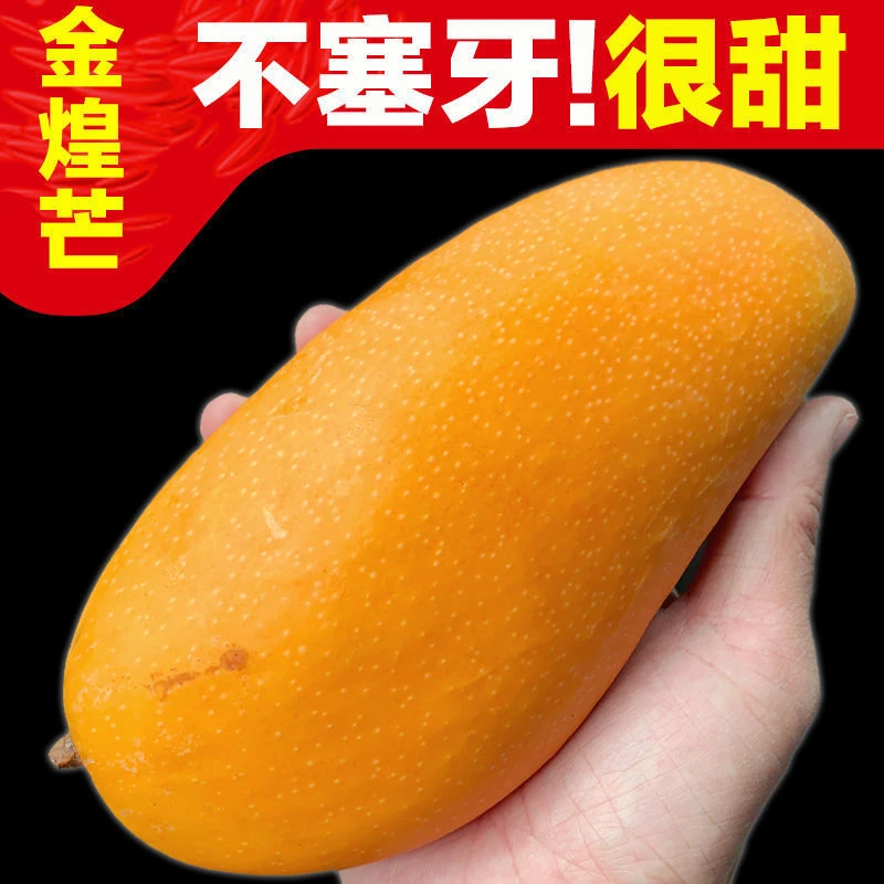 海南金煌芒果热带水果新鲜水果纯甜芒果汁水丰富