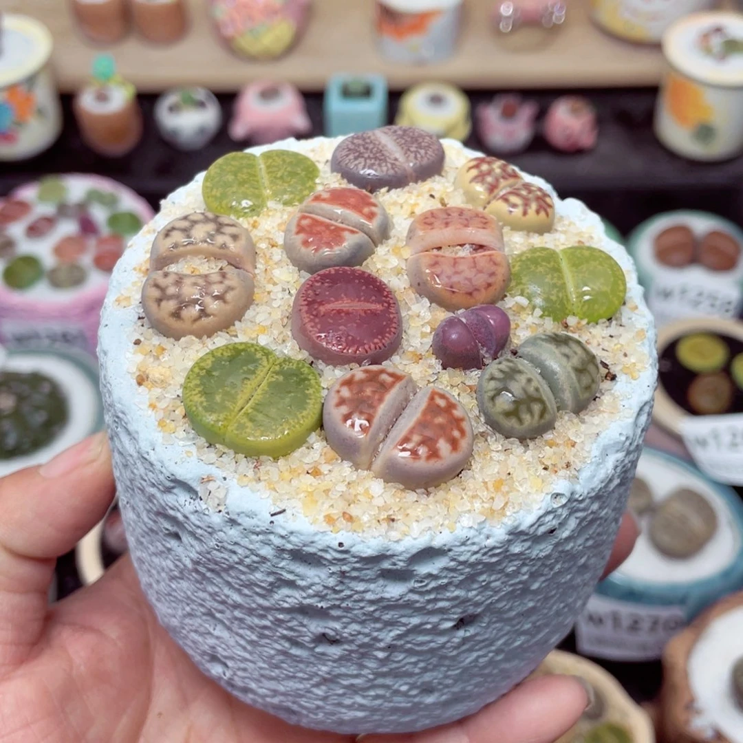 w1276 带盆土发货-零下地区拍保温箱