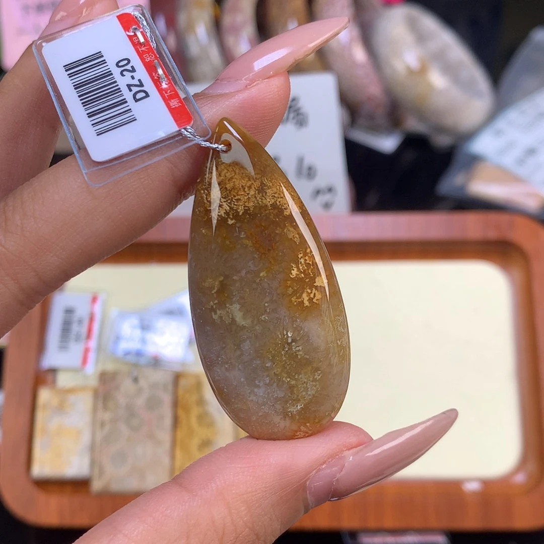 【闪购商品】颈饰未镶嵌硅化珊瑚（珊瑚玉）无*