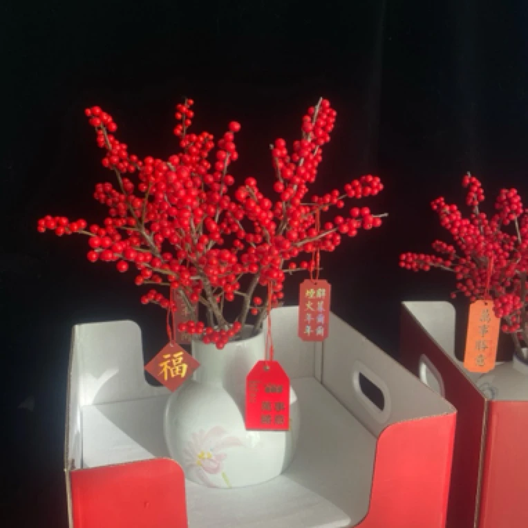 1枝很好养的冬青