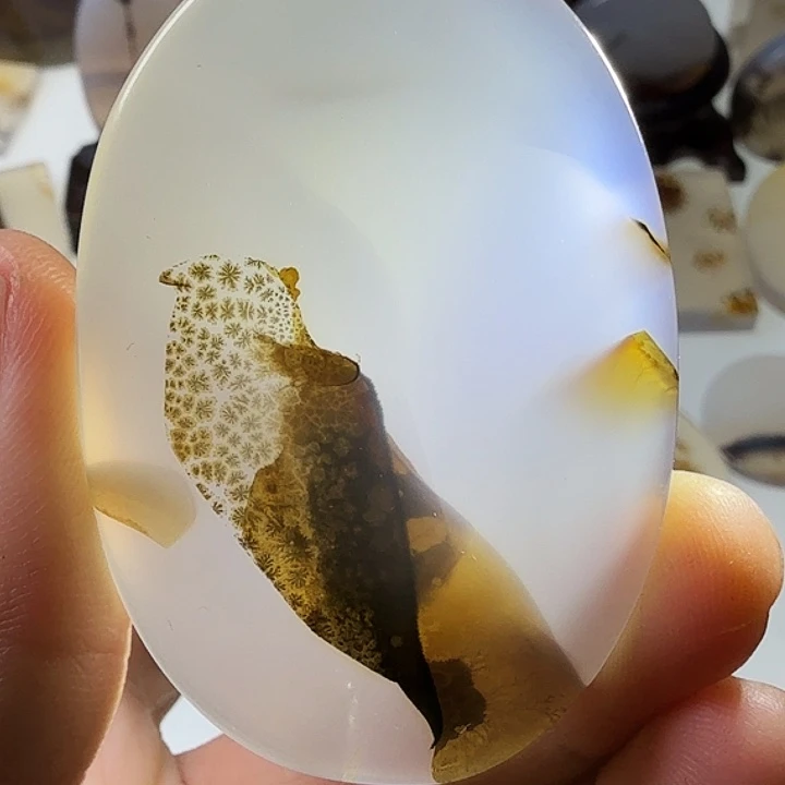 玛瑙/玉髓未镶嵌珠宝半成品