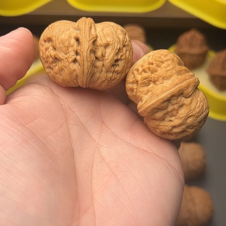 44尺精配头货全品元宝