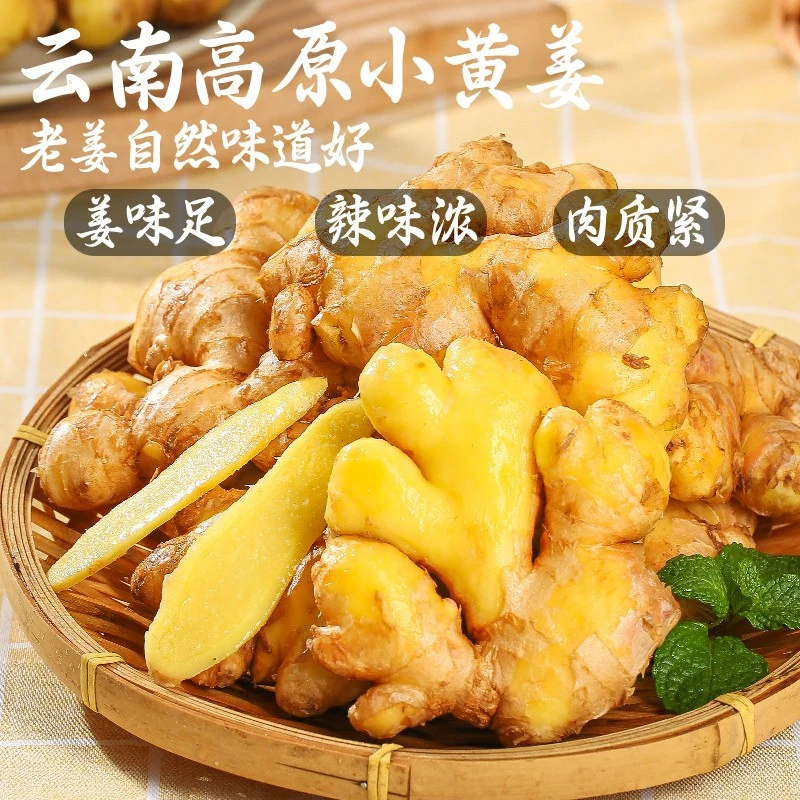 【新鲜云南小黄姜】净重3/5/9斤现挖老姜产地直发（坏姜包赔）