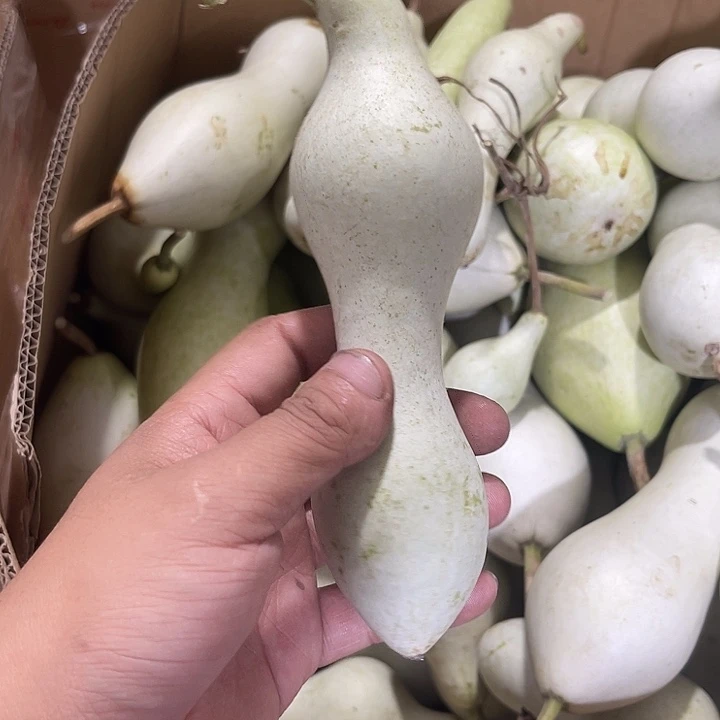 非洲紫檀(红花梨)西****风