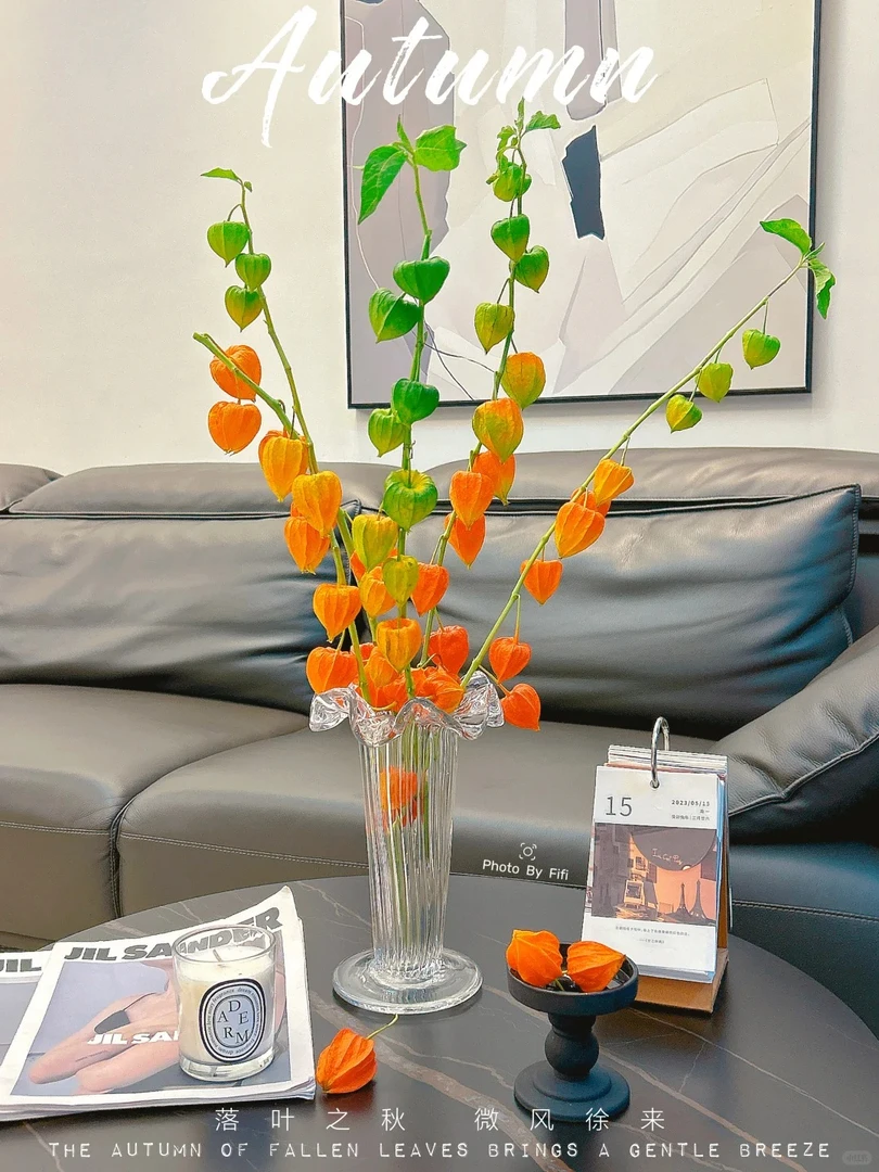 丰收果1束 ----- 花艺生活摆放(实物以直播间为准)