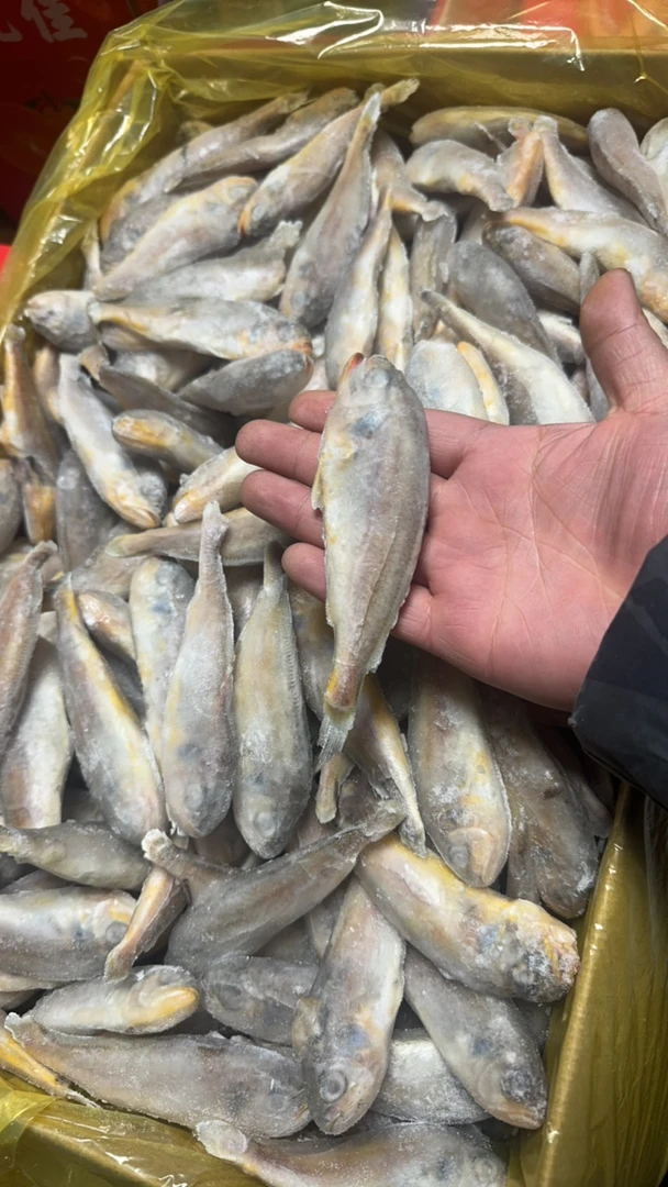 小黄花鱼14斤西宁同城配送