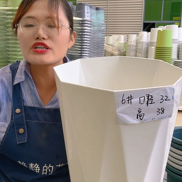 钻石盆6#白色1个含托