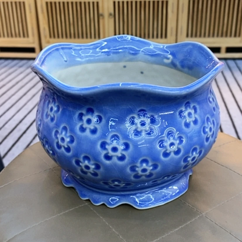 【闪购商品】福利花盆9.99包邮