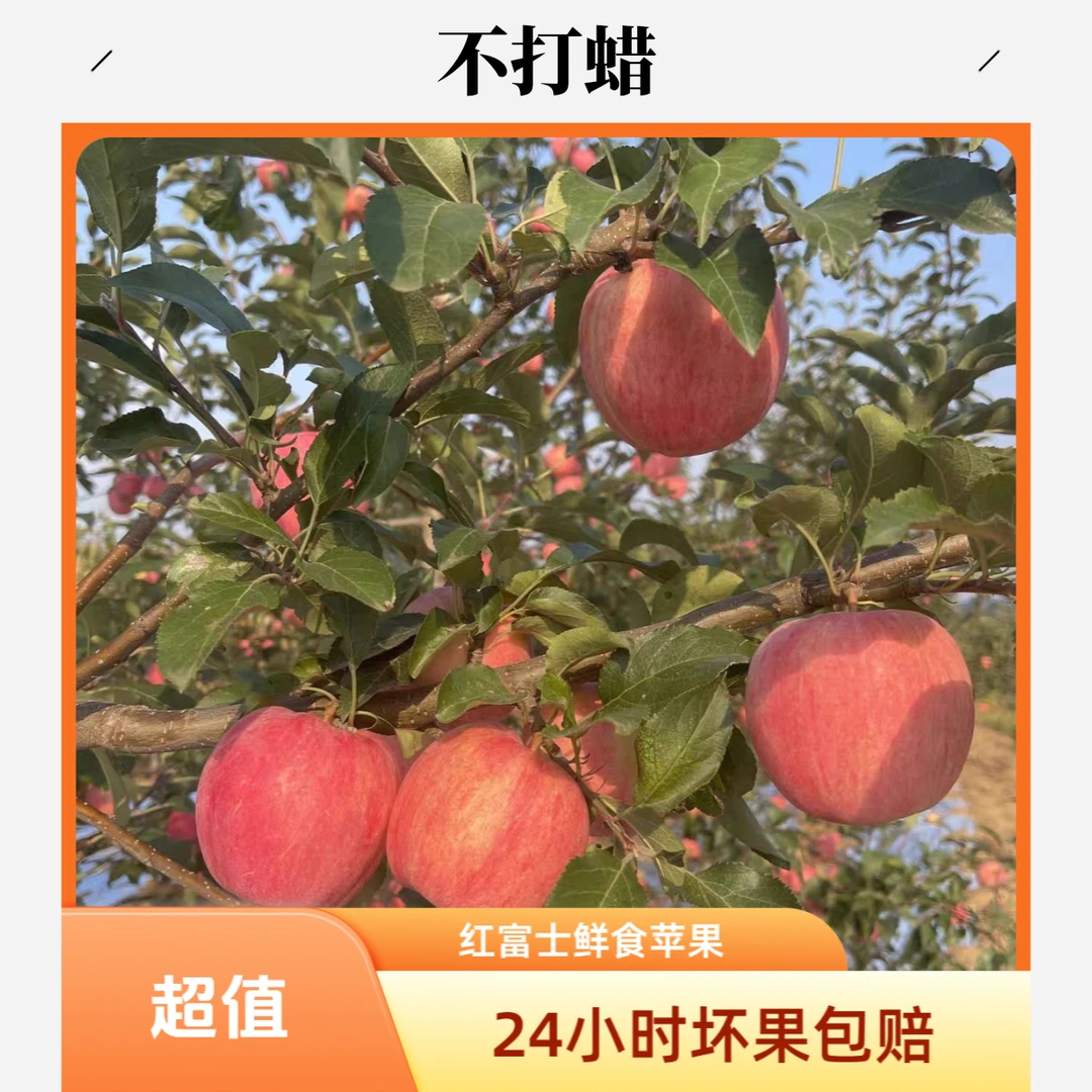 2025 新果红富士苹果条纹苹果脆甜黄肉 4.5-5 斤 （多仓发货）