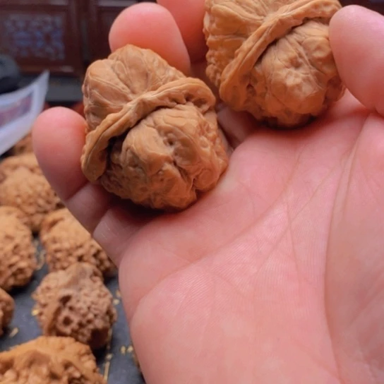 逸**室文玩蛤蟆头全品