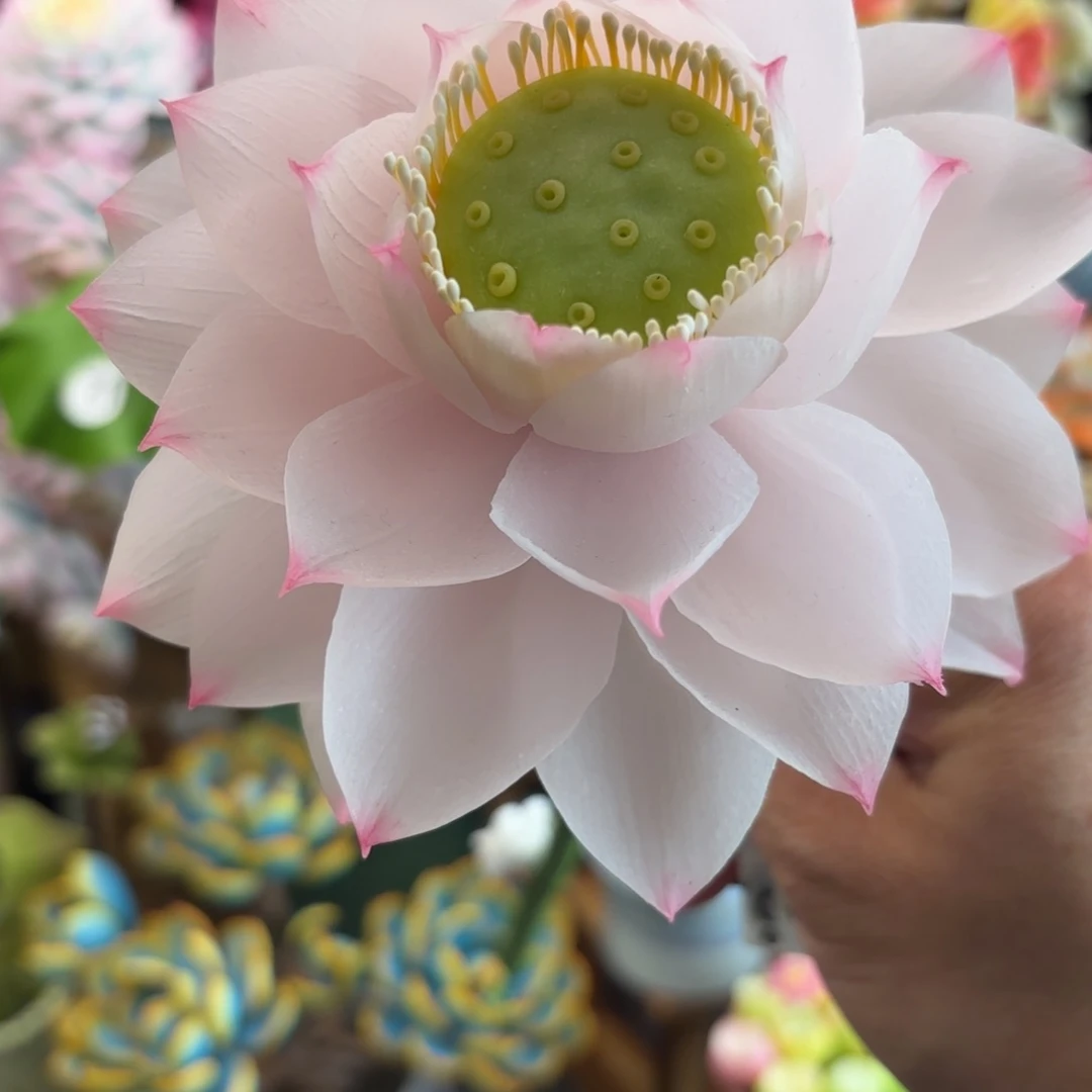 树脂粘土仿真多肉 荷花