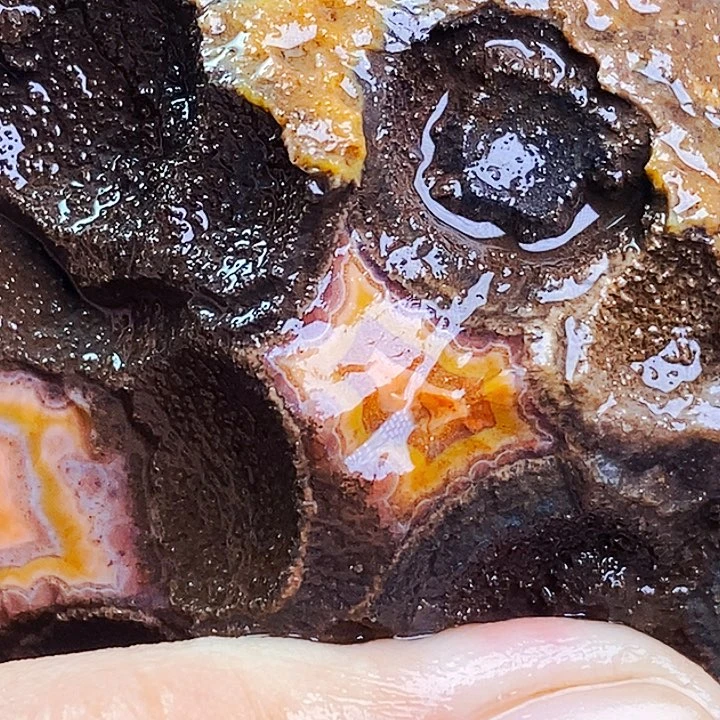 未镶嵌定制玛瑙崔*龙