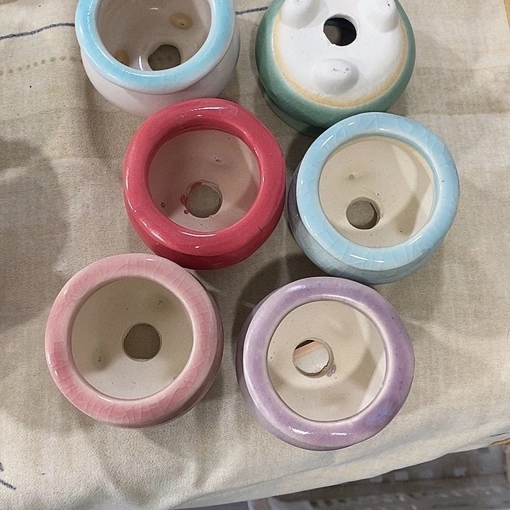花盆抢购清货马上开始