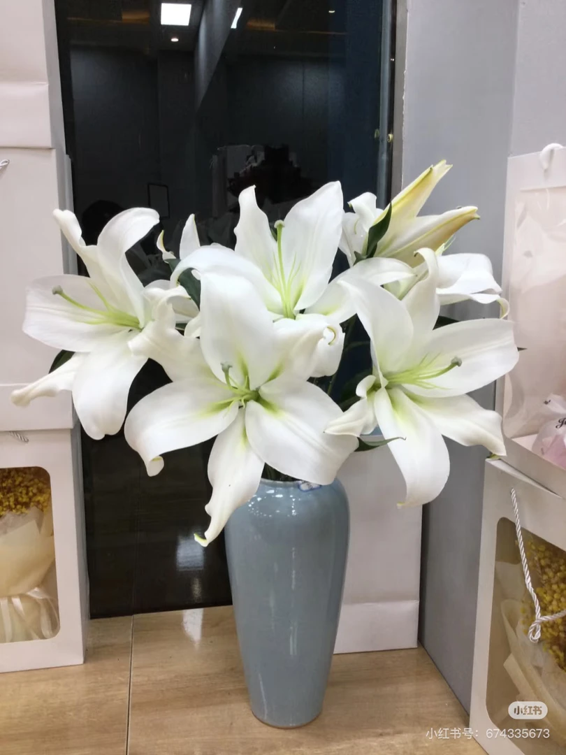 10号赞比西白色百合，我要买我不售后