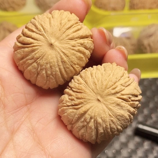 文玩核桃全品猴头元宝