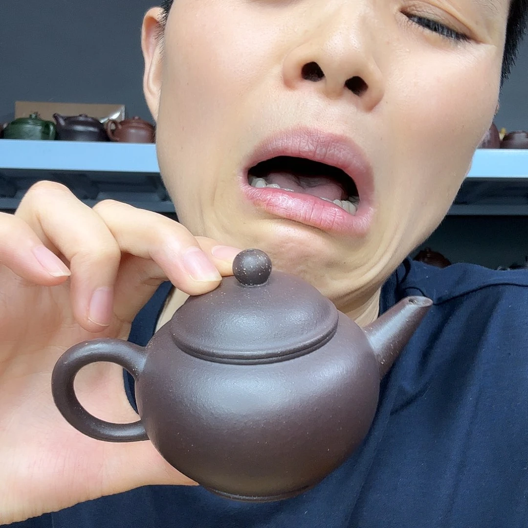 茶壶紫砂民间手艺人全手工制作