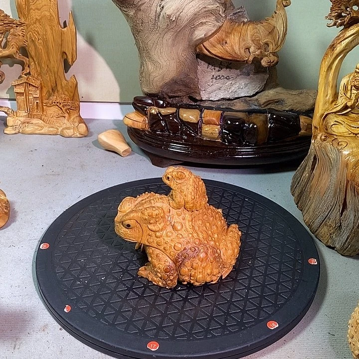 香榧木上**涉太行崖柏陈化