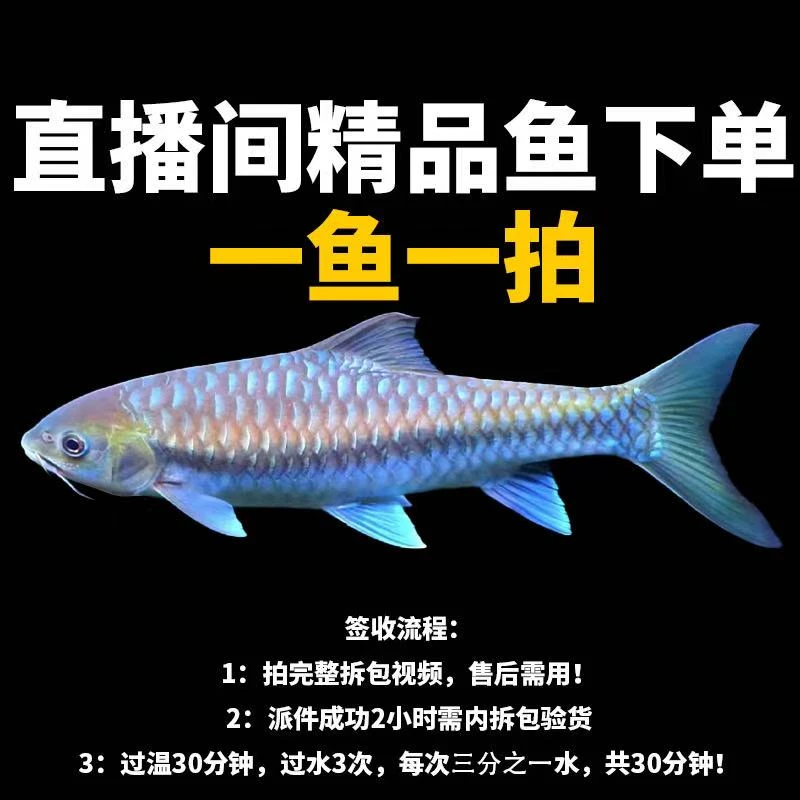 【直播间竞拍专用】吉罗挑选链接一物一价 有完整开箱视频才包售后