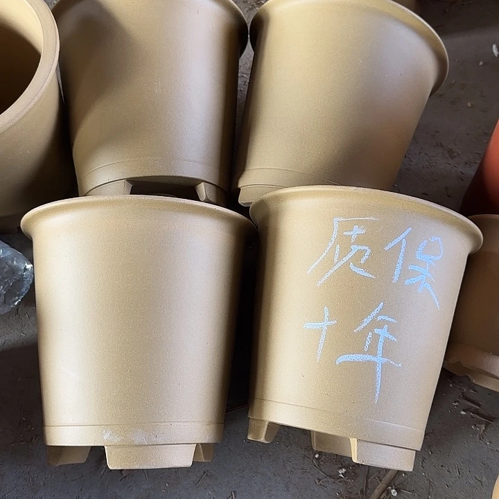 20×19四只福利价