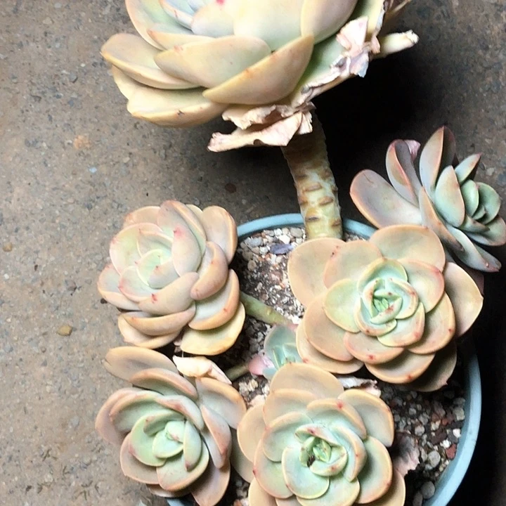 要****?41//：：：/////////