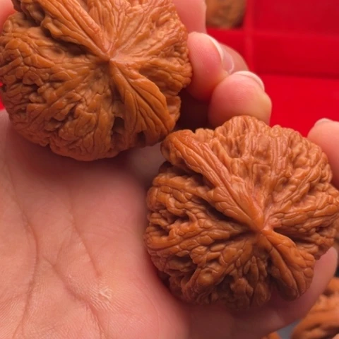 文玩核桃把件秦岭山脉核桃