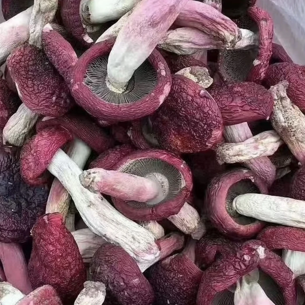 【红菇】 云南德宏红姑  头茬肉厚当季新货食用菇 煲汤佳品