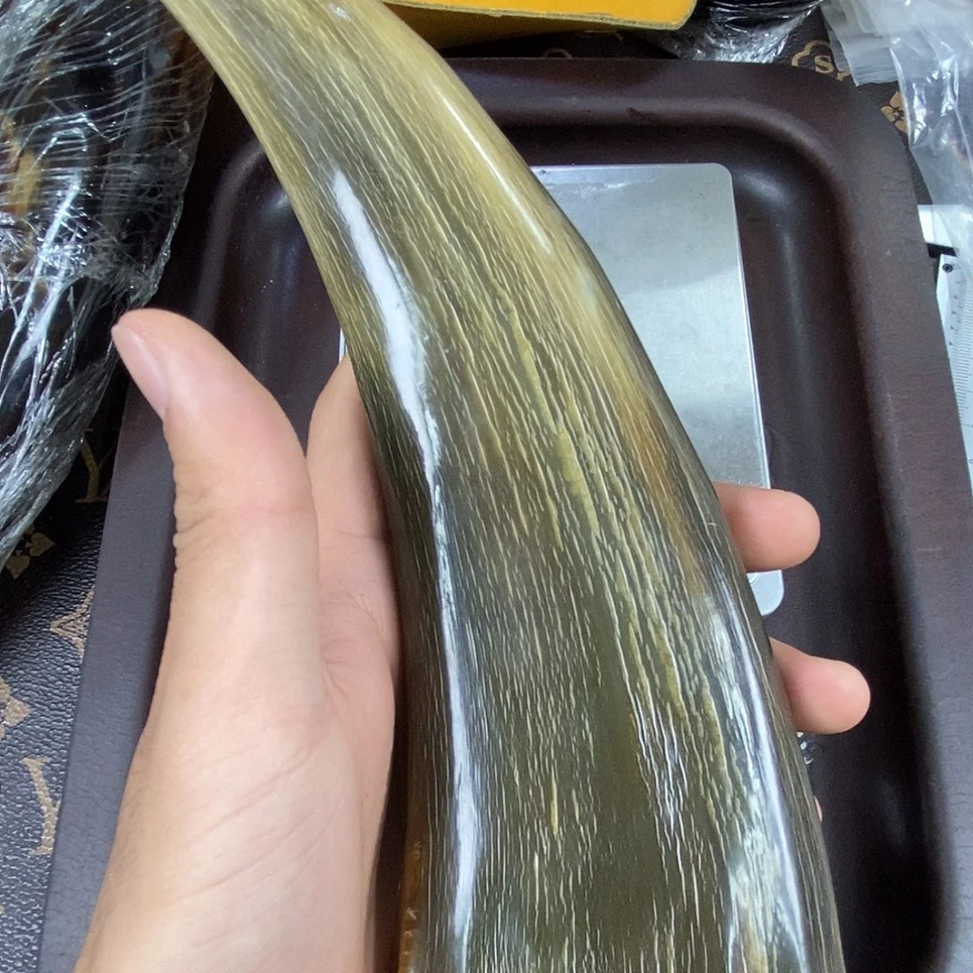 驼骨其他牛角摆件,81