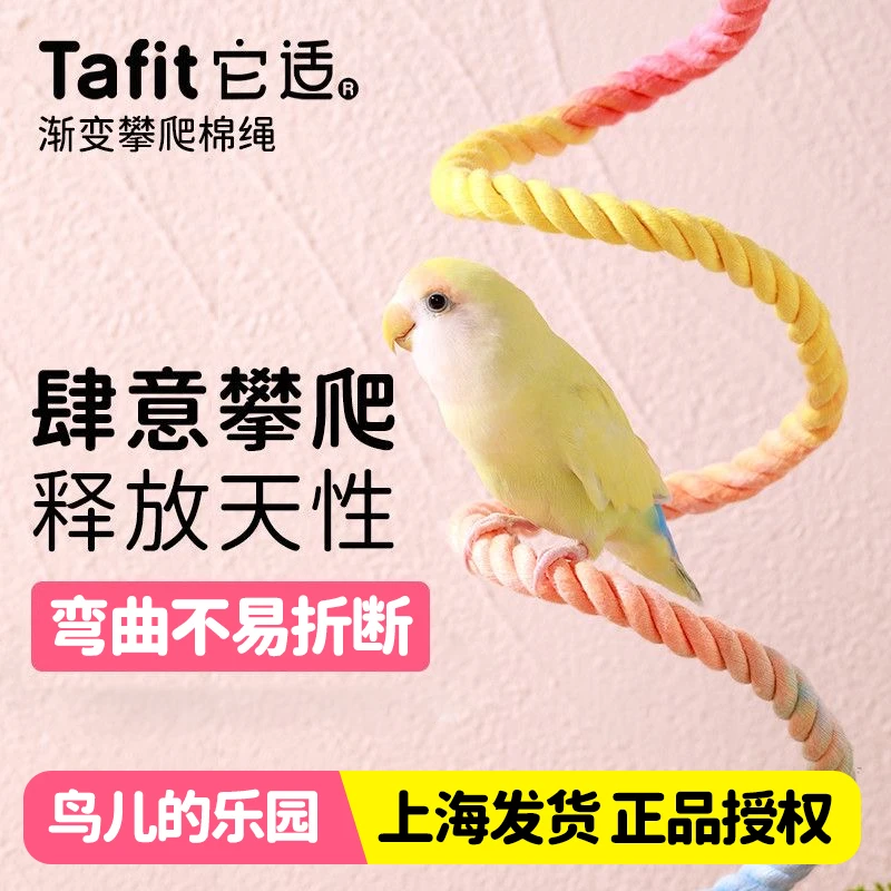 它适鹦鹉攀爬绳玄凤牡丹小太阳鹦鹉鸟笼攀爬玩具棉绳站杆鹦鹉用品