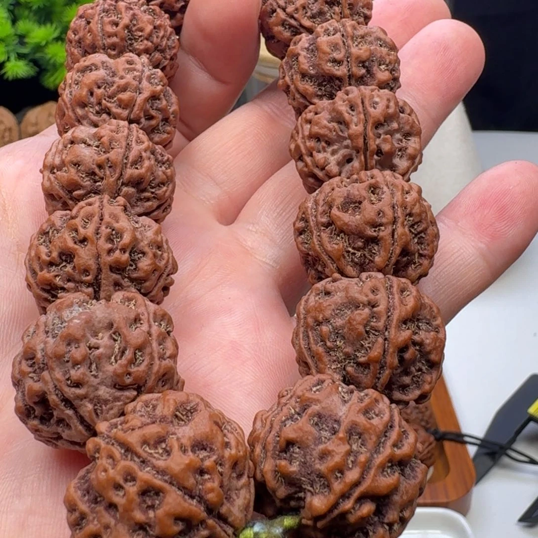 金刚菩提手串双龙粗筋
