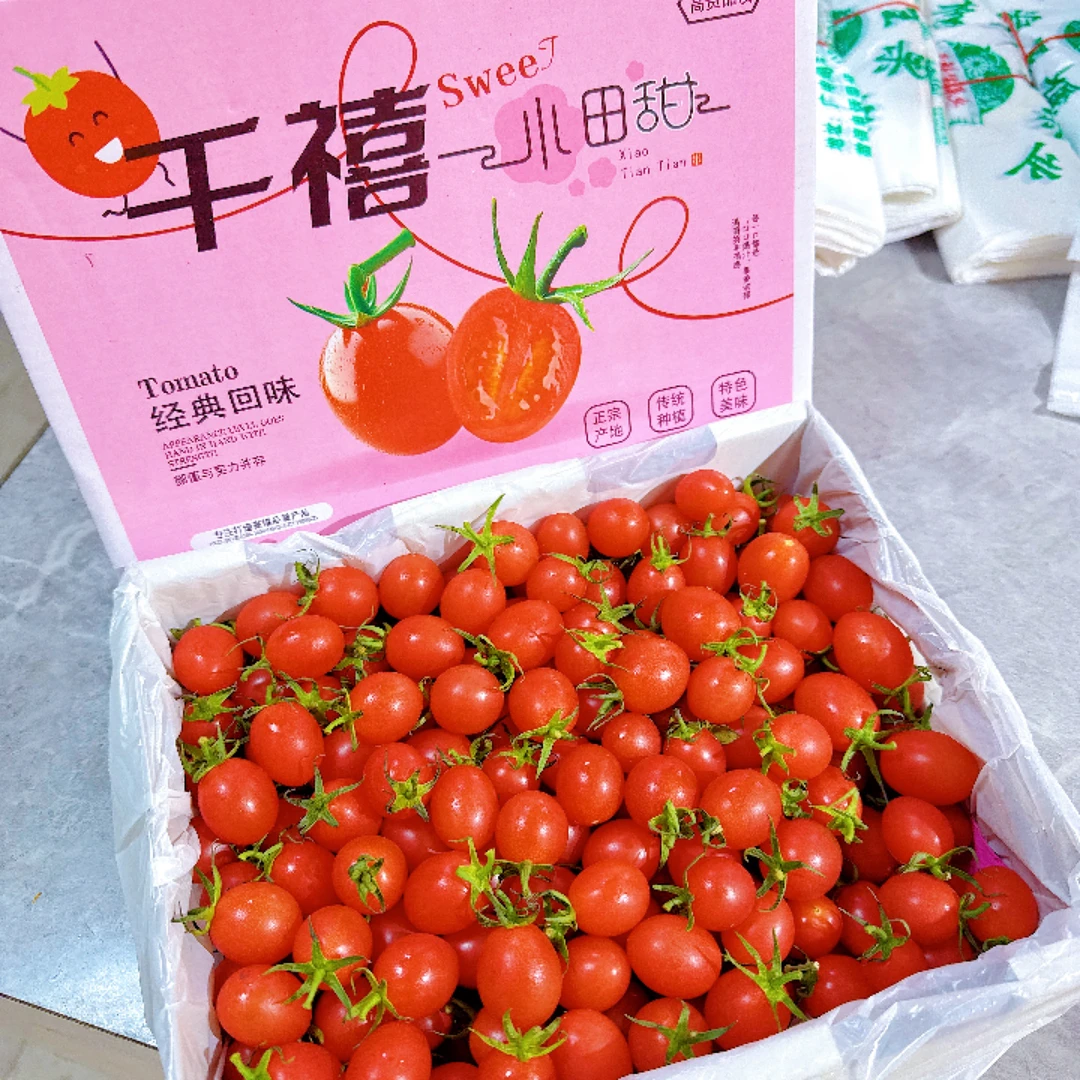 千喜电白小柿子/箱 纯甜柿子味浓郁姑娘果 1200克