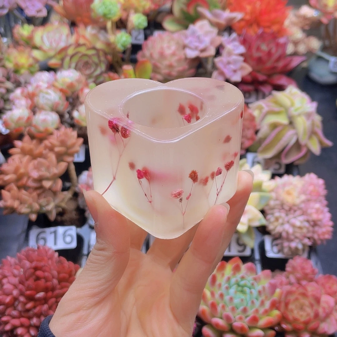 花钱就去花钱花钱花钱