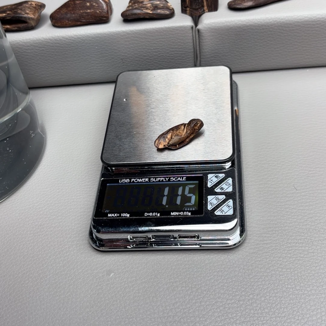 文莱文莱文莱文莱