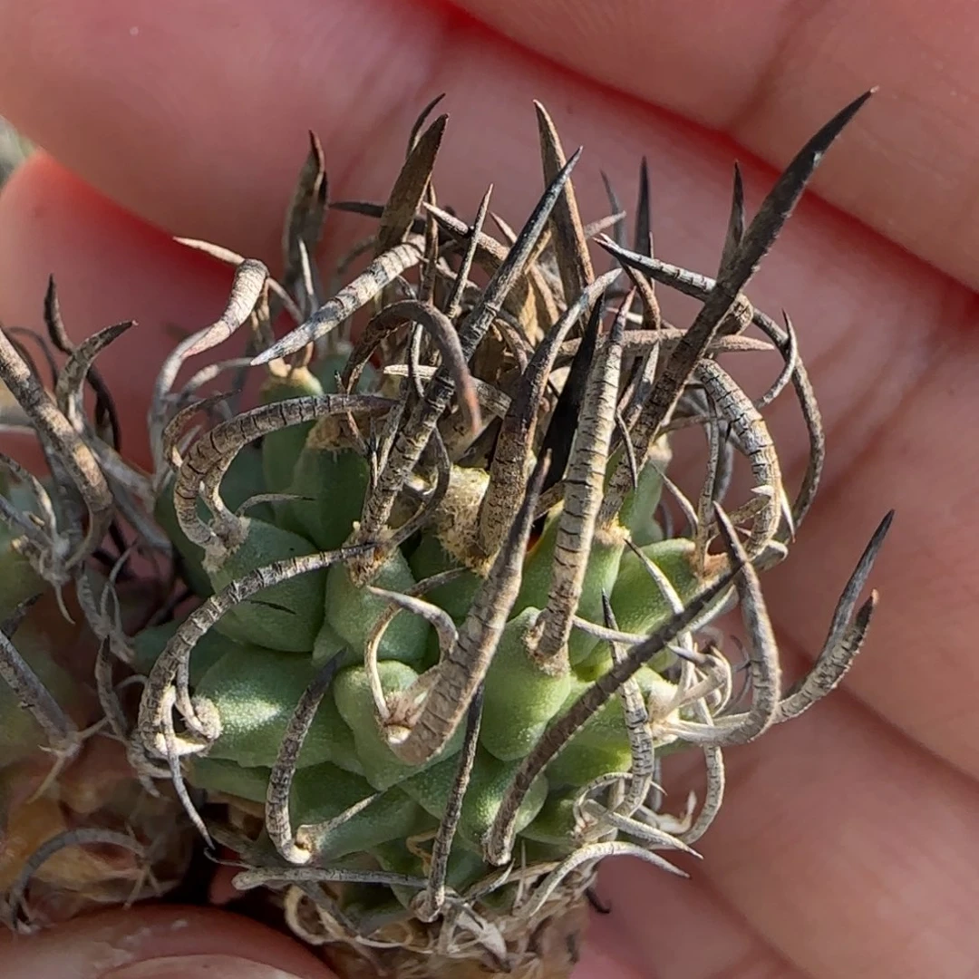 008娇丽啊啊啊啊啊