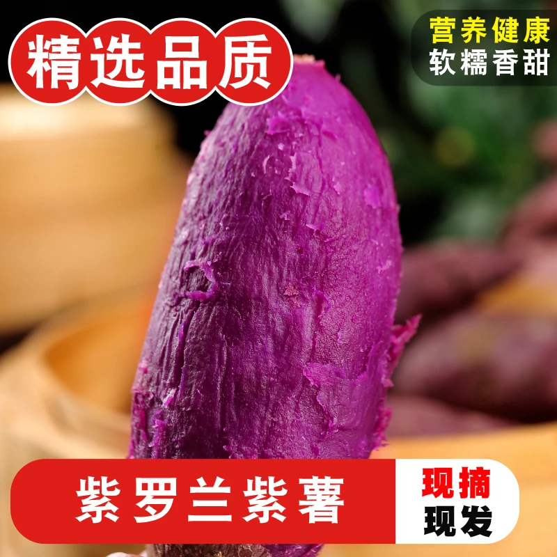 紫薯新鲜紫罗兰5斤农家自种现挖蜜薯糖心甜山芋番薯蔬菜