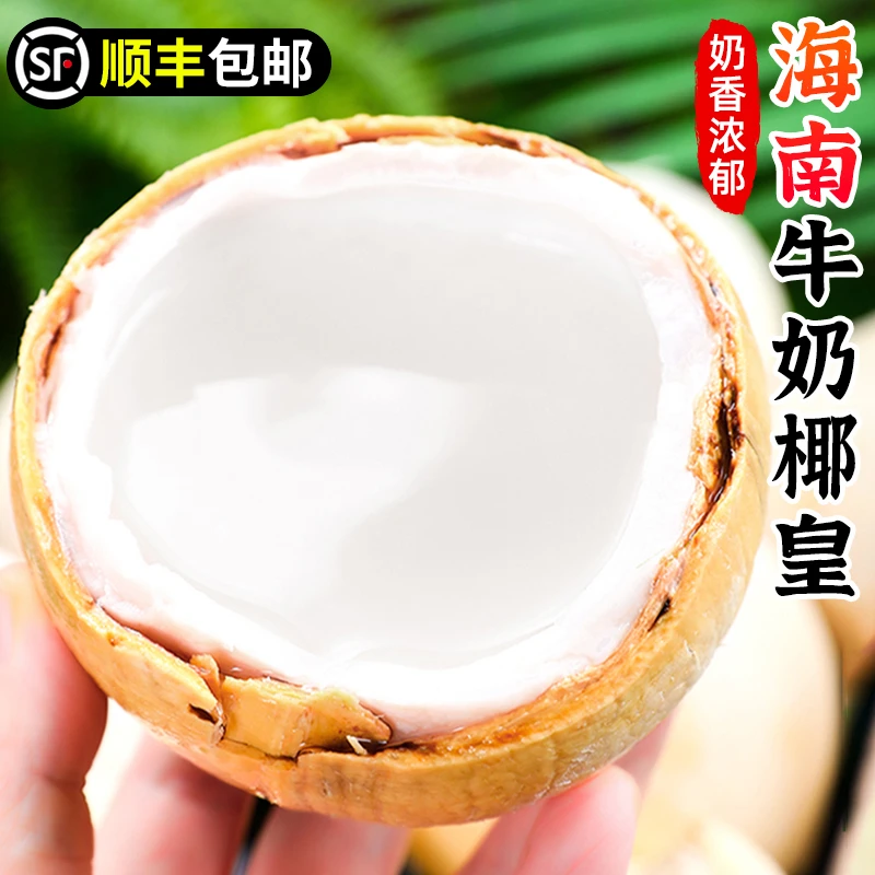 【顺丰包邮】海南牛奶椰皇3-12个毛椰椰青椰宝老椰子肉椰汁新鲜水果