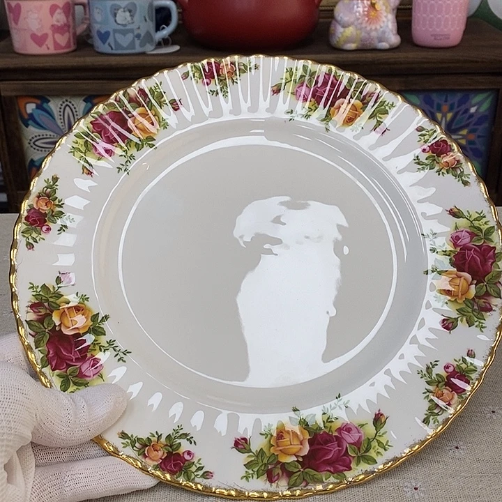 瓷片口径26进口正品