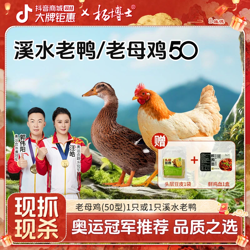 【1只老母鸡或老鸭】杨博士皖南土鸡深山散养煲汤红烧 包冰率不含冰