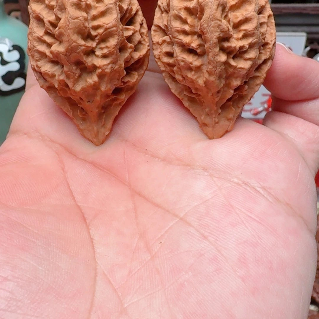 吊坠文玩核桃鸭嘴龙骨