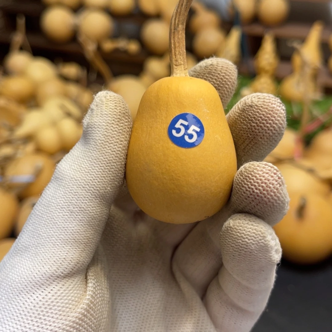 闪拍葫芦链接-55号品