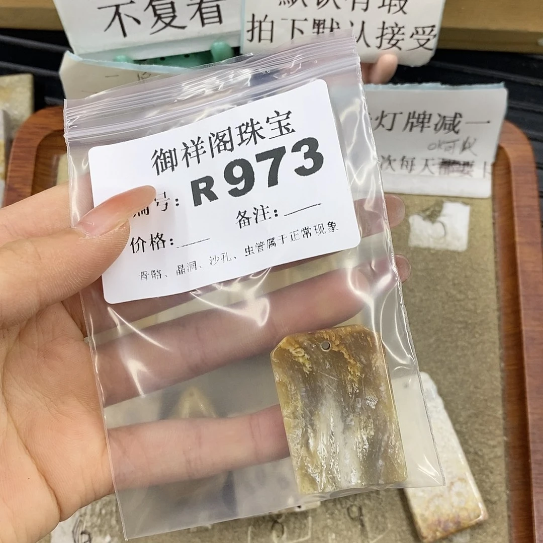 硅化珊瑚（珊瑚玉）未镶嵌颈饰一****儿