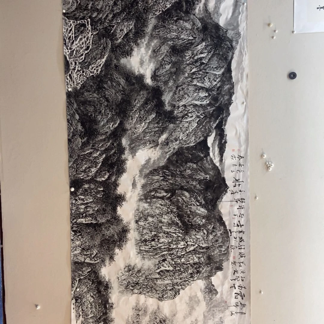 【闪购商品】国画用*墨鱼精品墨鱼精品