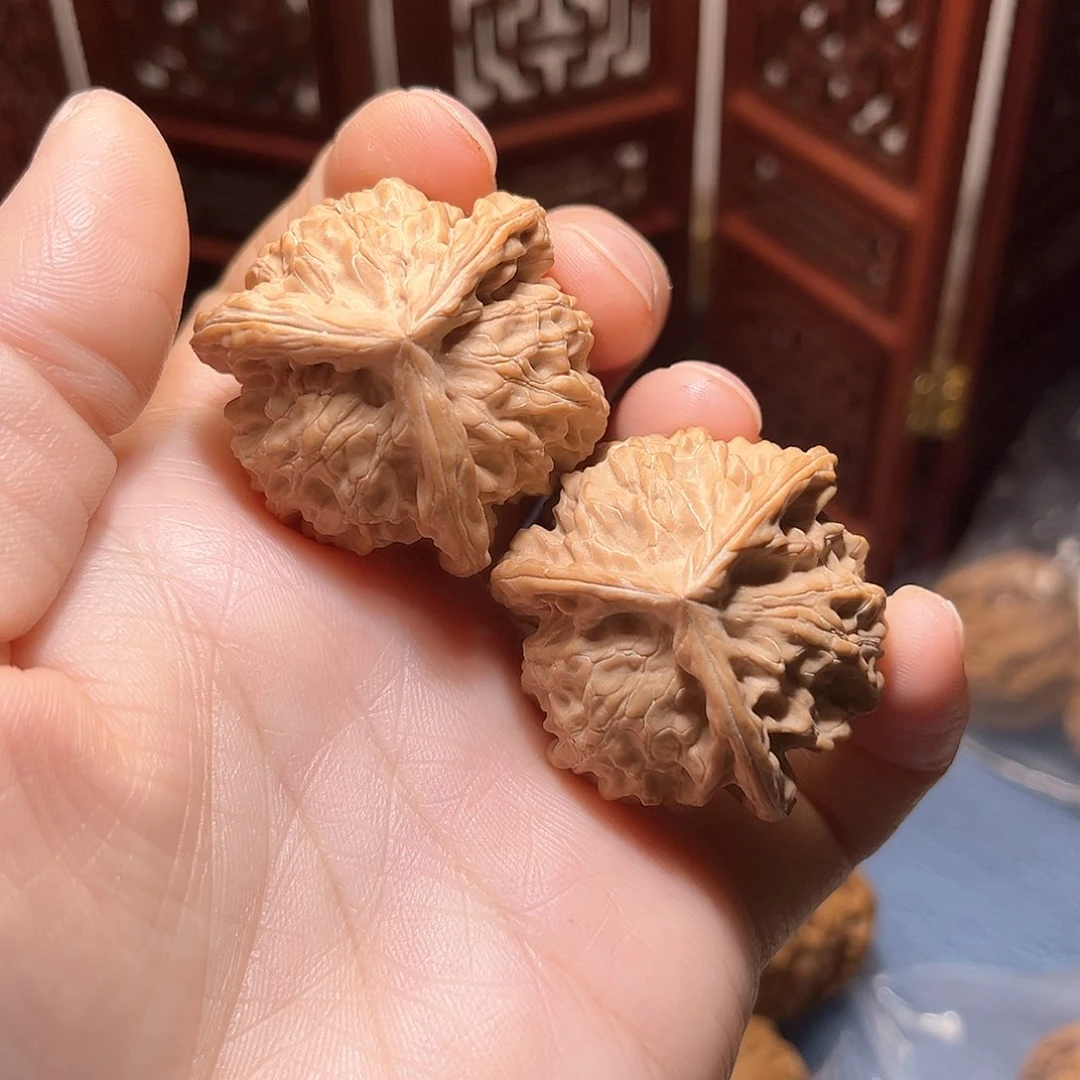 37全品盘山正奔……精品