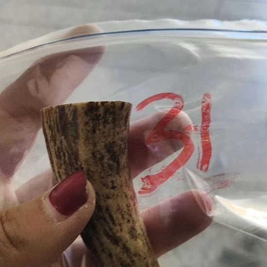 ****李大理石磁石鹿角鹿角鹿角鹿角鹿角鹿角