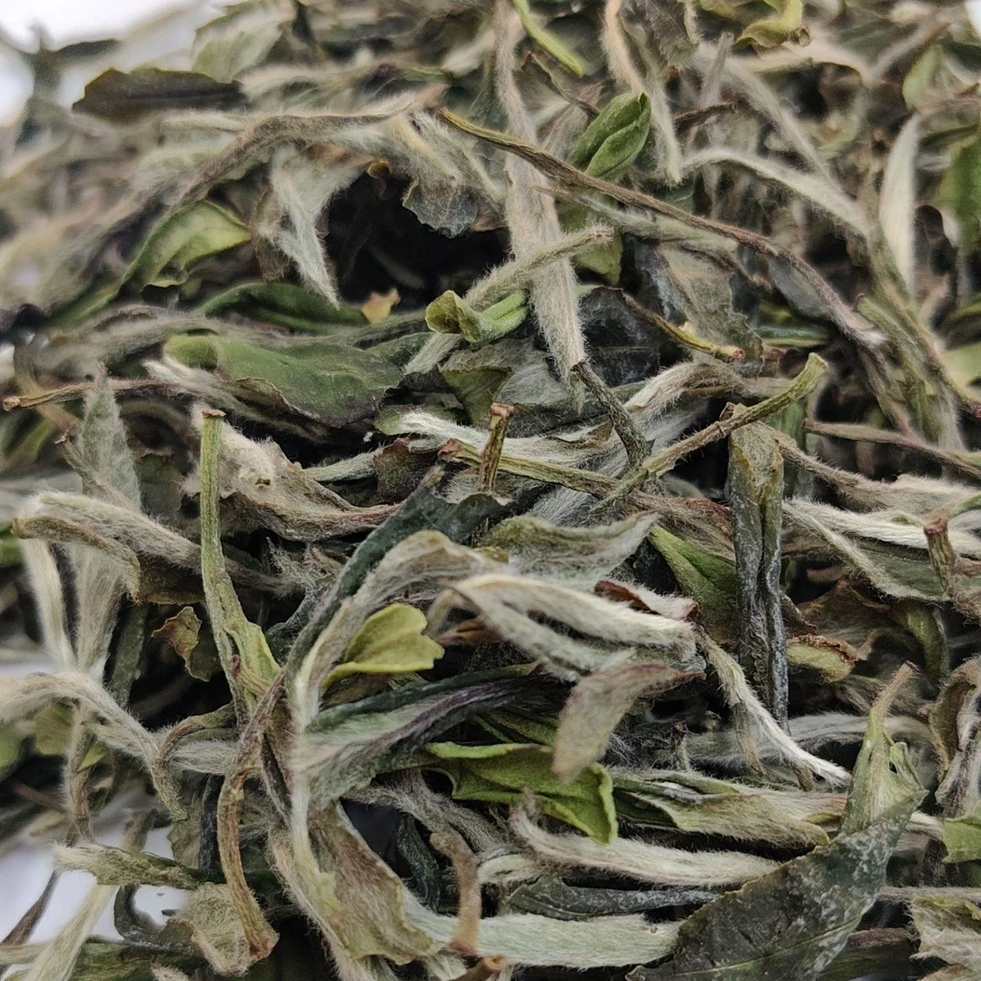 福利款-福鼎一级牡丹-磻溪黄岗-300g