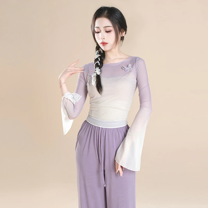 舞中曲古典舞身韵网纱上衣中国舞成人练功服现代舞形体服艺考纱衣