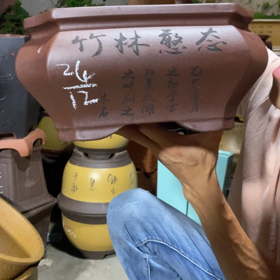 紫砂紫砂紫砂紫砂