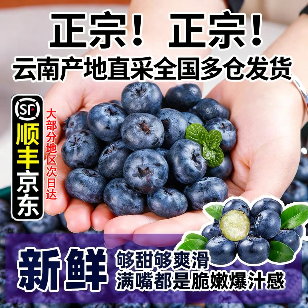 【顺丰京东】云南花香蓝莓抚仙湖核心产区应季水果新鲜现摘现发包邮